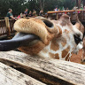 Meet your Posher, Sonya